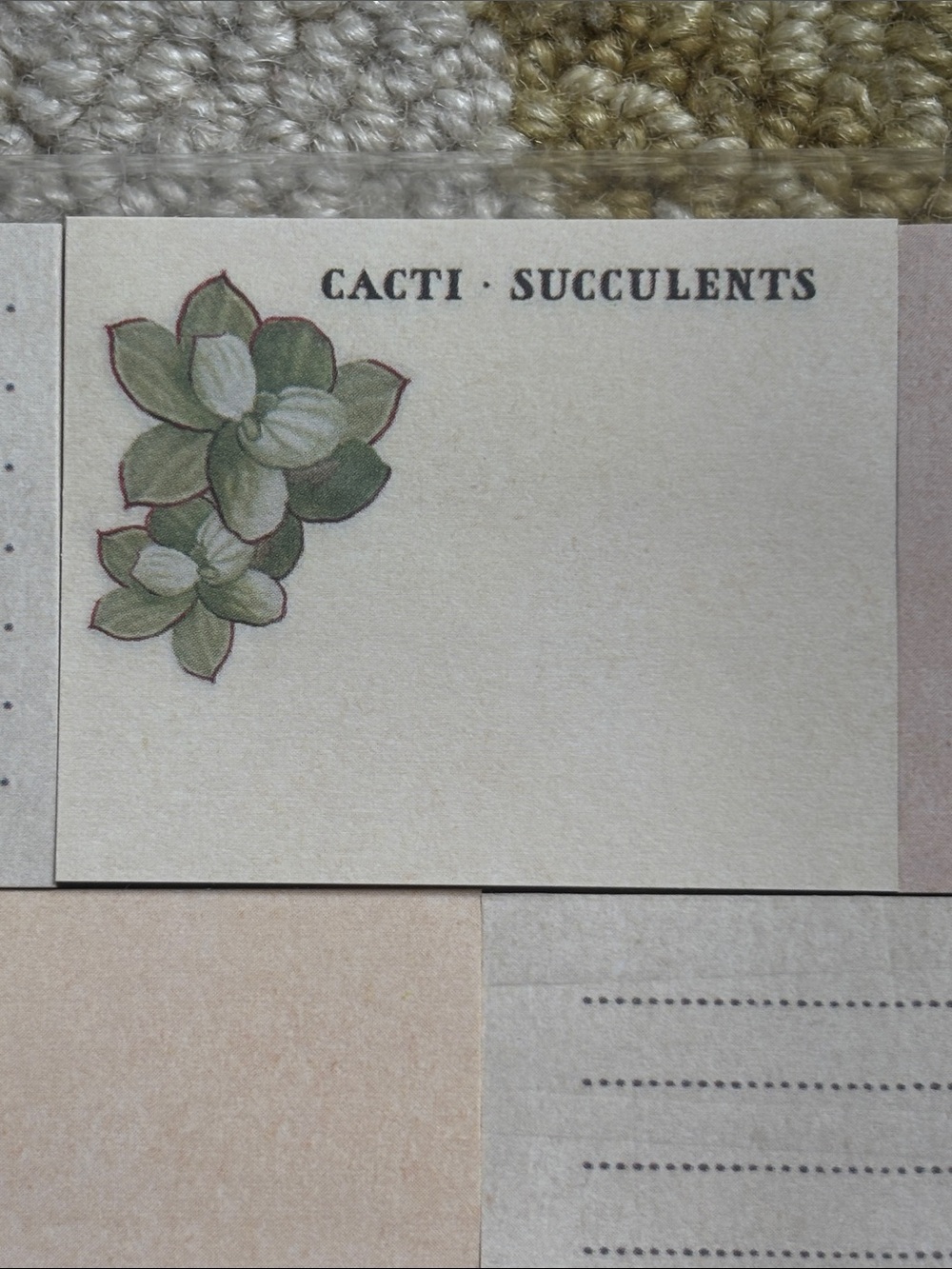 Cavallini &Co. Sticky Notes Succulents NWT 300 count 5 separate sticky note pads - Picture 5 of 16